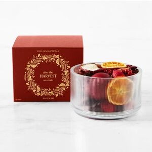 NWT Williams Sonoma Spiced Cider Potpourri